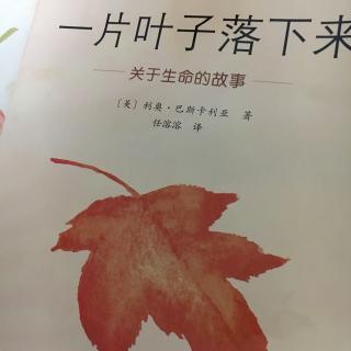 一片叶子落下来