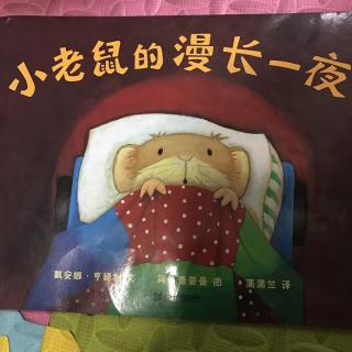 小老鼠的漫长一夜