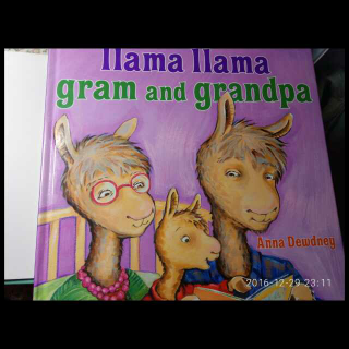 [小玥的亲子时光]  llama llama gram and grandpa