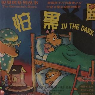 怕黑- (in the dark) 贝贝熊系列