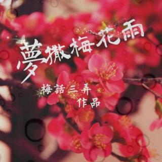 接龙客栈[505]梦撒梅花雨(第13回)