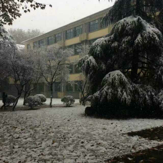 《雪—节选》——鲁迅