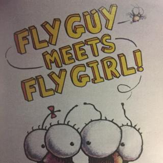 fly guy meets fly girls