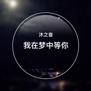 我在梦里等你