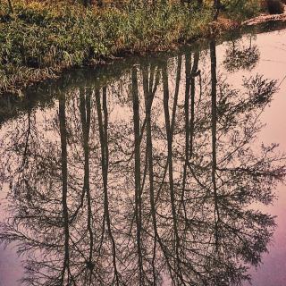 Lake of Autumn 秋之湖