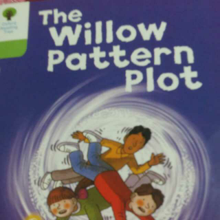 the willow pattern plot