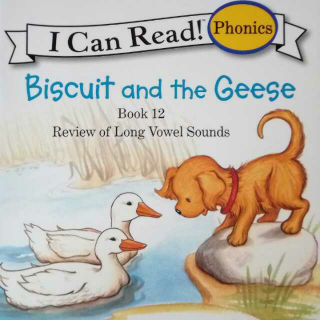 12.Biscuit and the Geese