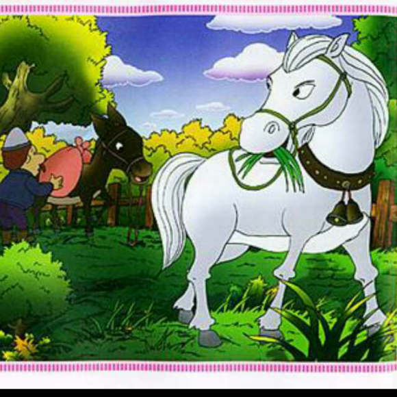 donkey and horse 驴和马
