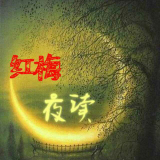 红梅夜读1-心灵鸡汤1