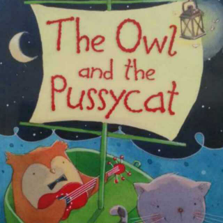 owl and pussycat