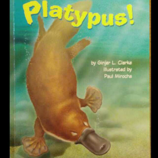 Platypus (2nd Edition)