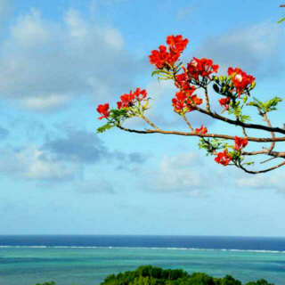 面朝大海，春暖花开