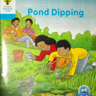3-3 pond dipping