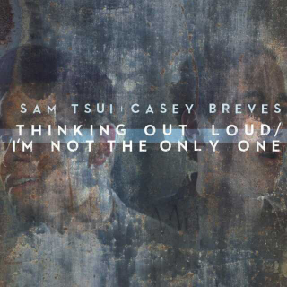Sam Tsui/Casey Breves - Thinking Out Loud+I'm Not The Only One 