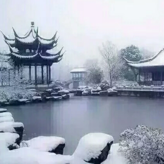 听雪（来源网络）