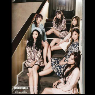 the wave-apink
