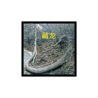 NO.032  清明感悟：卧虎藏龙