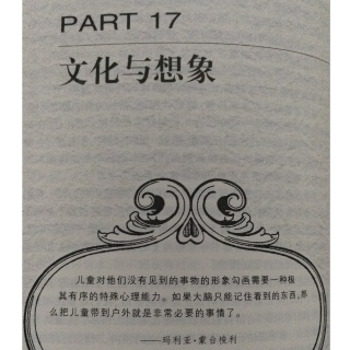 《吸收性心智》第十七章 文化与想象 上