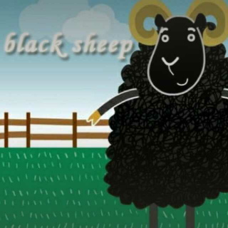 Black Sheep--20160517