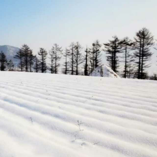 天问:《那时候》(挚情版)