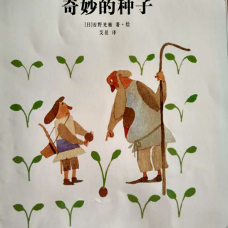 美丽数学绘本之奇妙的种子
