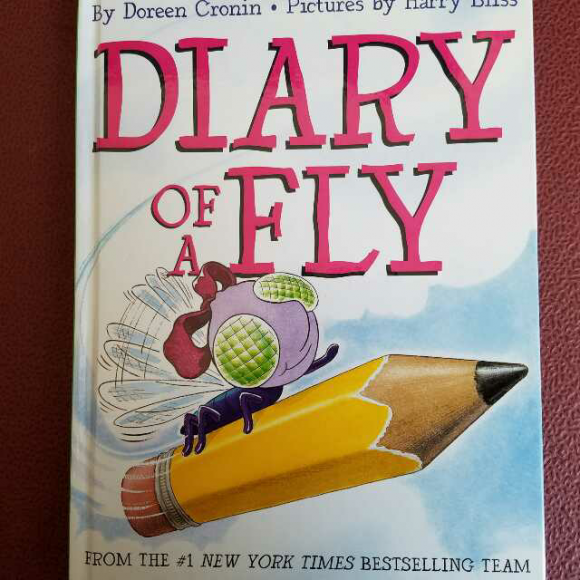 【苍蝇的日记】在线收听_馨悦s english sky_荔枝fm