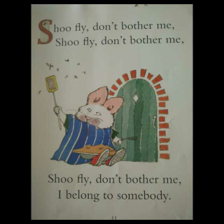 Shoo fly