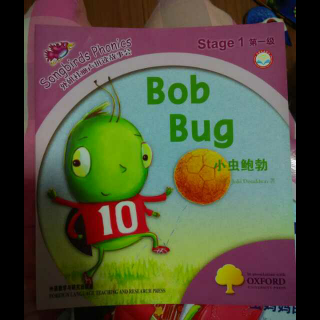 Bob bug