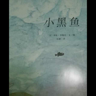 小黑鱼