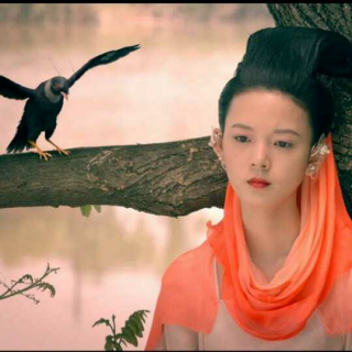 关诗敏《风之恋》