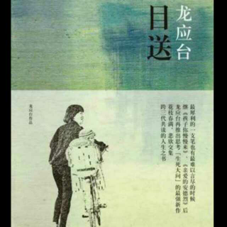 《目送》*作者：龙应台