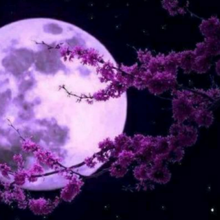 《今夜，我是你的月亮》  兰河如月