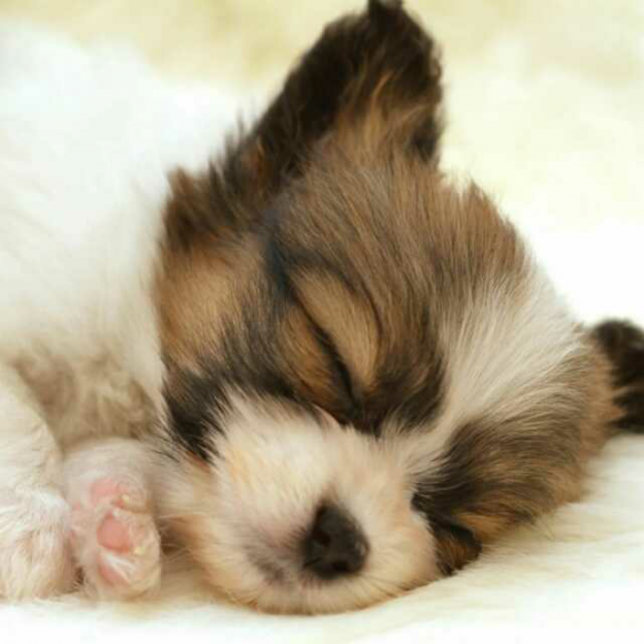 祈愿                  大家还在听              潘吉jenny告诉你