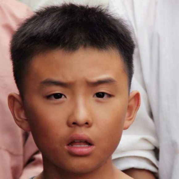 两代匠情,百鸟朝凤--豆瓣