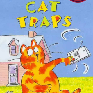 Cat Traps 1