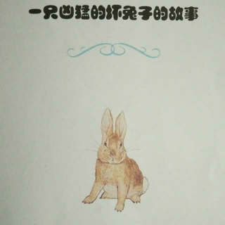 【小兔彼得和他的朋友们】一只凶猛的坏兔子的故事