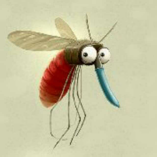 Boss《特别节目》【可爱的动物】蚊子是怎样找准血管去吸血的？