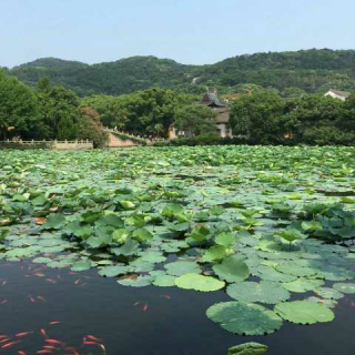 生活不是等着暴风雨过去，而是学会在风雨中跳舞。