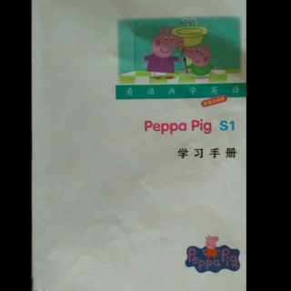 peppa  pig    鹦鹉波利