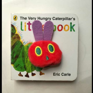 《the very hungry caterpillar》