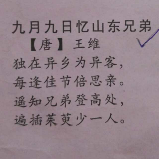 《九月九日忆山东兄弟》唐 王维