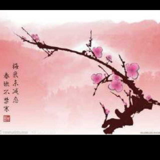 《梅花魂》陈慧瑛