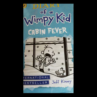 DIARY of a Wimpy kid CABIN FEVER P1-48