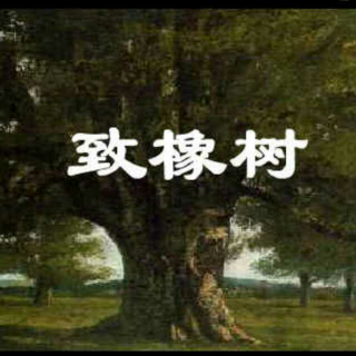 To the Oak Tree 致橡树 舒婷