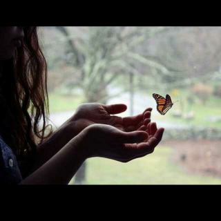 你若盛开 ，蝴蝶自来   你若精彩，天自安排
