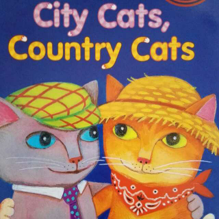 City cats, country cats精讲