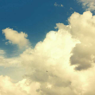 《小鸟在天空消失的日子》谷川俊太郎 朗诵:振翼高飞