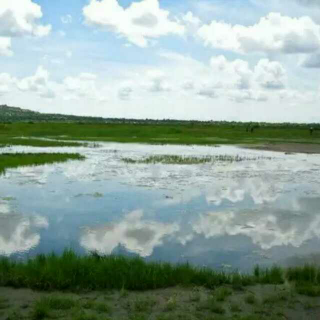 《秋意浓浓，我在达里湖沏茶煮鱼》