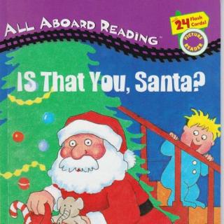 圣诞节绘本故事：是你吗，圣诞老人？