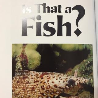Is that a fish